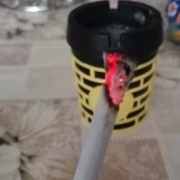 Parliament Sigara Kalitesi Ve İçeriği Hakkında Endişe