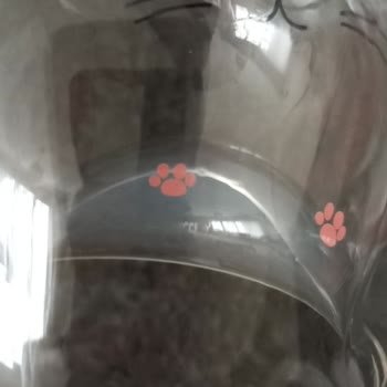 Hediye Kupa Bardakta Su Sızdırma Sorunu
