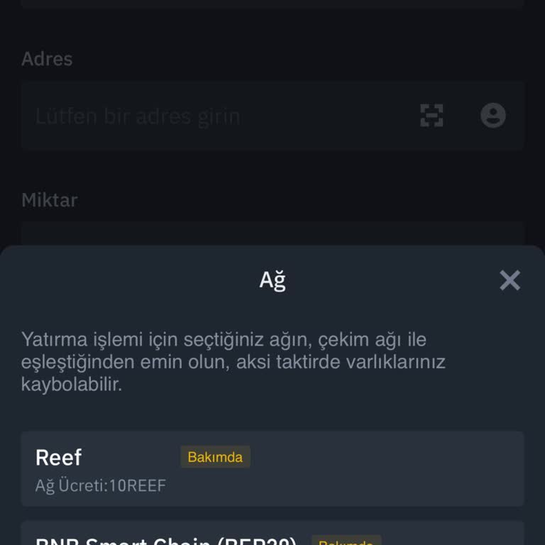 Reef Coin Transfer Sorunu: Binance TR'de Tıkanıklık