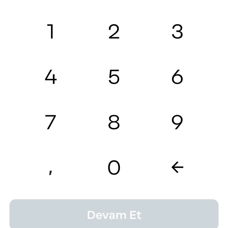 Papara Hesabında Nakit Bakiye Sorunu