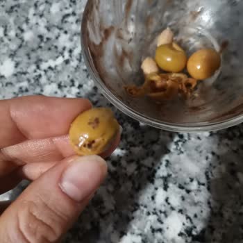 Zeytin Kavanozunda Larva Şoku!