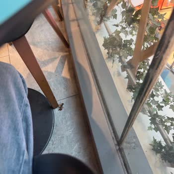 Yemek Katında Hijyen Sorunu