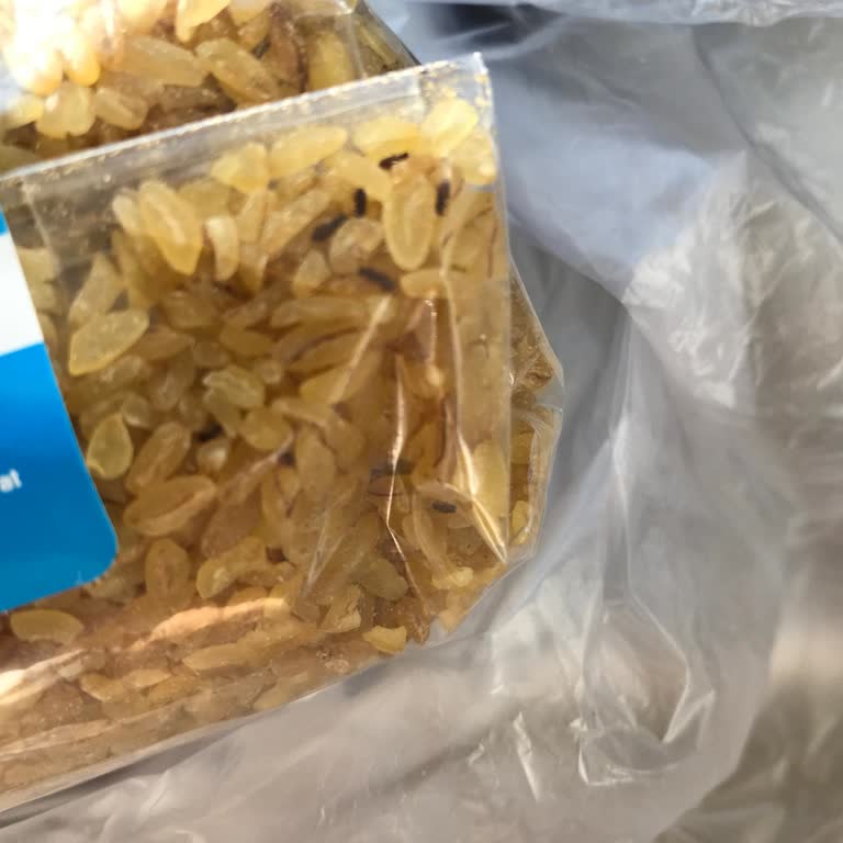 Yayla Marka Ürünlerde Böcek Sorunu