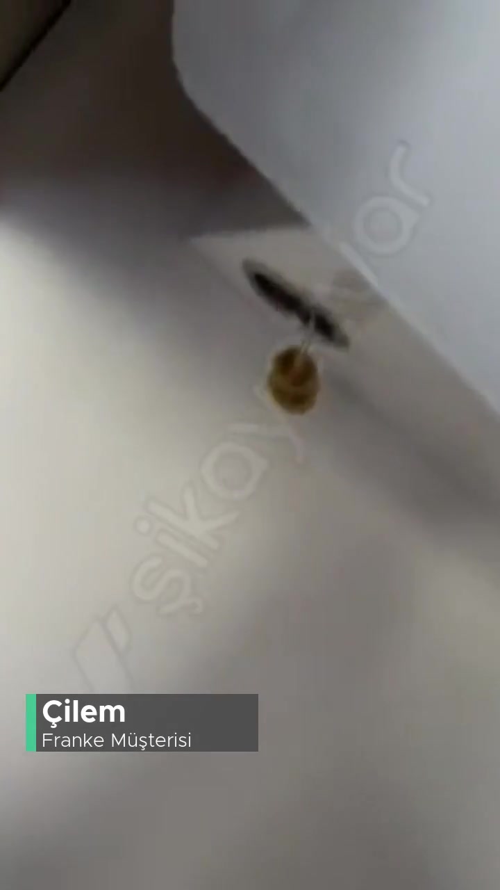 Franke Güvenin Boşa Çıkması! videonun kapak resmi