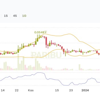 Paribu'da Askıda Kalan Transfer Ve Büyük Zarar!