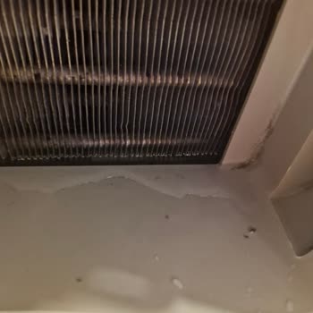 Yeni Alınan Kurutma Makinesinde Bitmeyen Su Sorunu Ve Yetersiz Servis Hizmeti