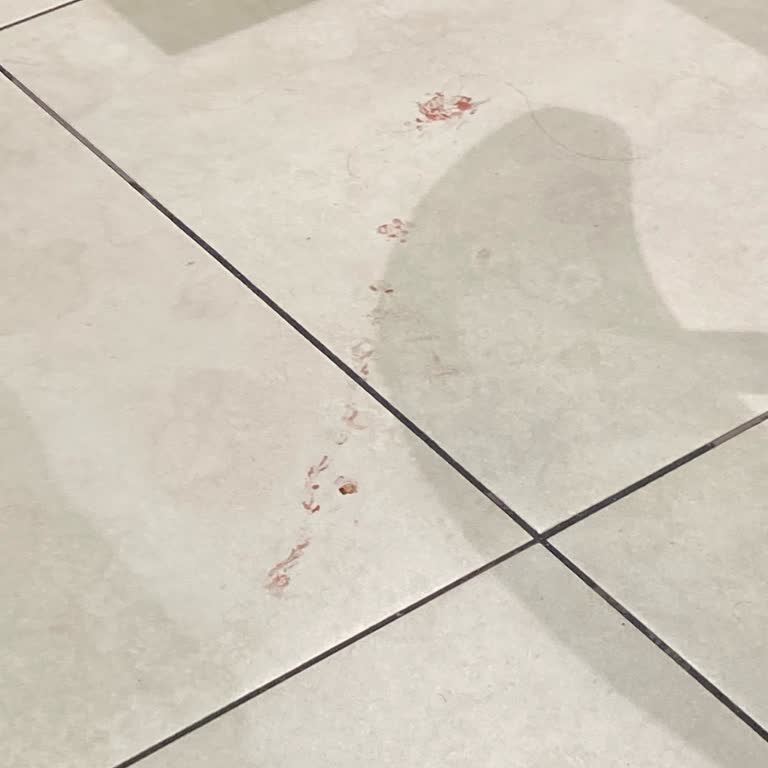 Tavuk Dünyası Hijyen Sıfır!