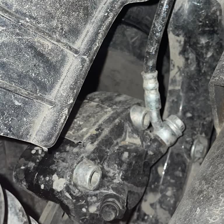 Kuba Chia 125 Parça Bulunamıyor