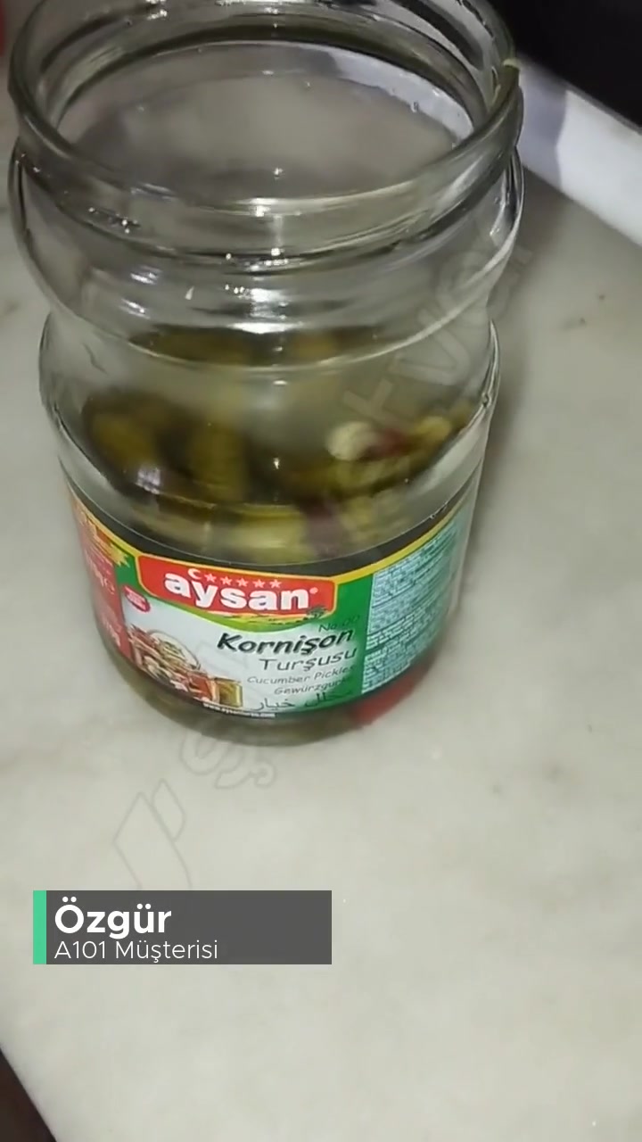 A101 Aysan Kornişon Turşudan Böcek Çıktı! videonun kapak resmi