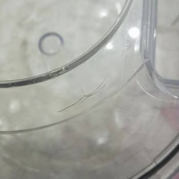 Garanti Kapsamı Dışında Kalan Çatlayan Su Haznesi Sorunu