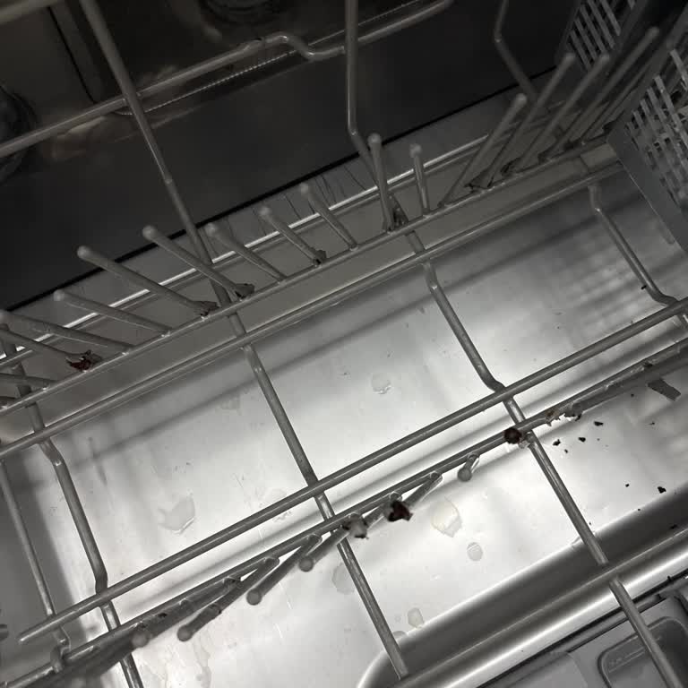 Franke Bulaşık Makinesi Paslanma Sorunu