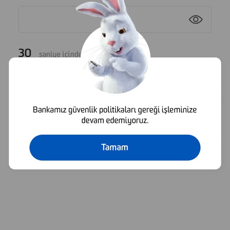 Fibabanka'da Güvenlik Politikası Engeline Takıldım