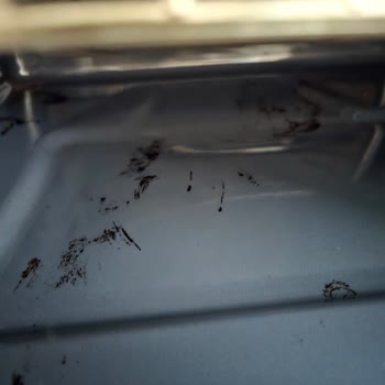 Ankastre Fırın Servis Sorunu