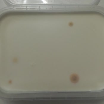 Taze Ürün Skandalı: Küflü Kaymak Şoku