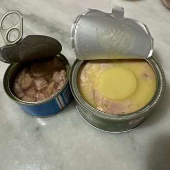 Dardanel Ton Balığı Kalitesizliği: Yenilemez Durumda Ürün