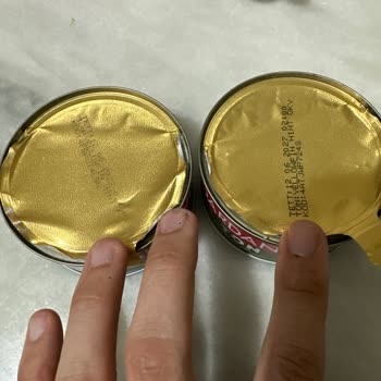 Dardanel Ton Balığı Kalitesizliği: Yenilemez Durumda Ürün