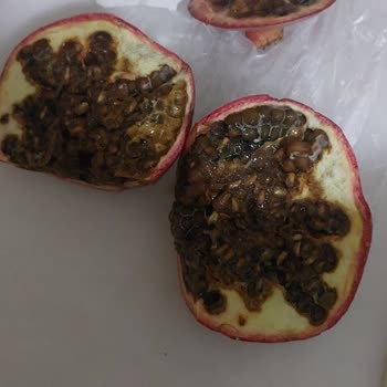 Ürün Fotoğrafıyla Uyuşmuyor: Hayal Kırıklığına Uğradım