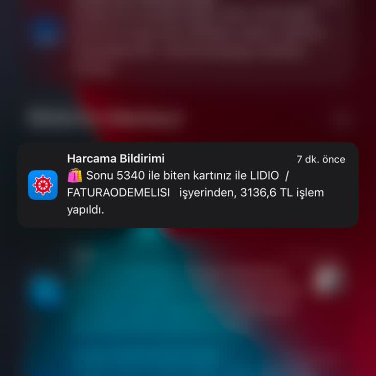 Ödeme Güvenliği Sorunu Ve İade Talebi