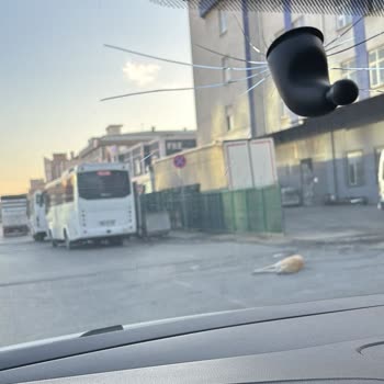 Sigorta Mağduriyeti: Haksız Red Kararı