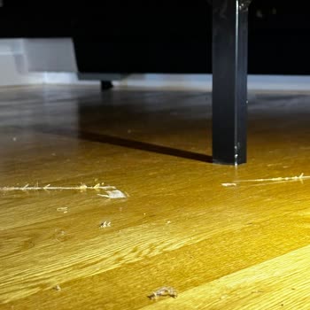 Yataş'tan Aldığım Karyola Sorunu: 5,5 Aydır Çözülmeyen Mağduriyet