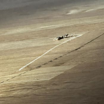 Yataş'tan Aldığım Karyola Sorunu: 5,5 Aydır Çözülmeyen Mağduriyet