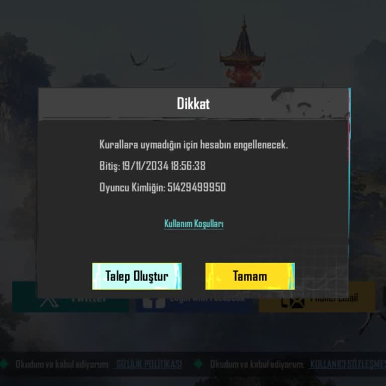 PUBG Hesabına Erişim Sorunu
