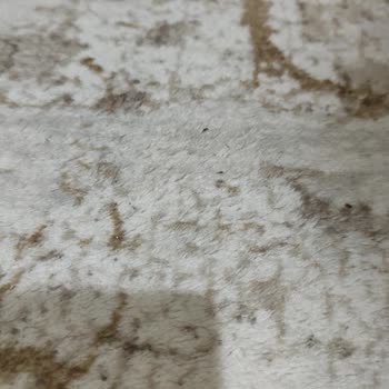 Halı Yıkama Hizmetinde Teslimat Ve Kalite Sorunu