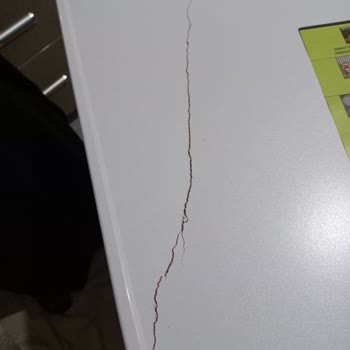 Trendyol Üzerinden Aldığım Üründe Yaşadığım Büyük Hayal Kırıklığı