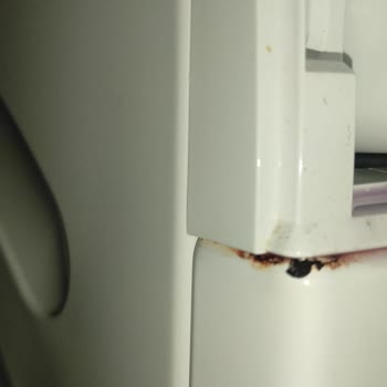 Bosch Çamaşır Makinesi Pas Sorunu Ve Müşteri Hizmetleri Hayal Kırıklığı