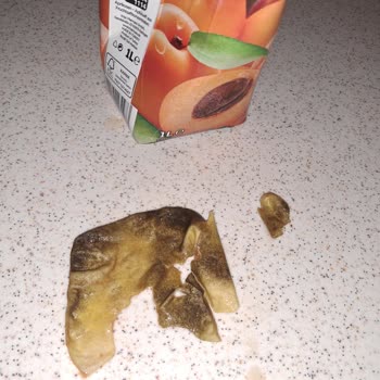 Aroma Meyve Suları Bozulmuş Meyve Suyu Sorunu: Sağlığımız Tehlikede!