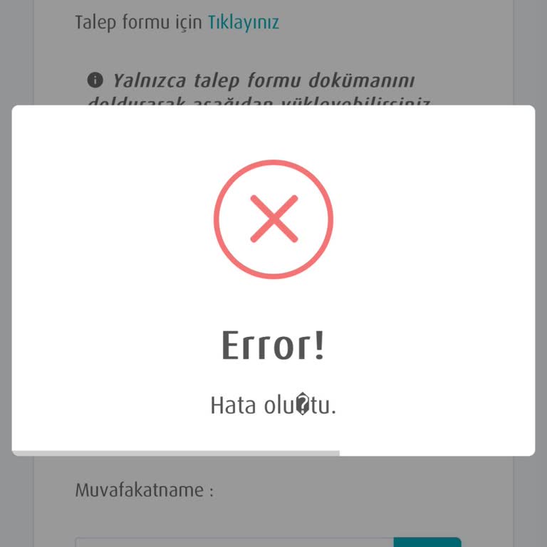 BES İptalinde Sürekli Hata Veren Form