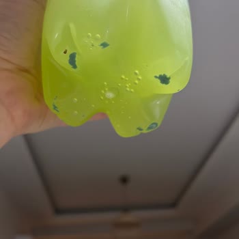 Schweppes Lime İçerisindeki Yeşil Tortular: Sağlık Tehlikesi