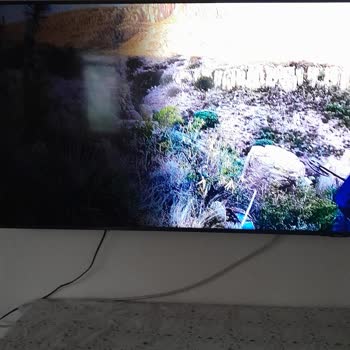 Samsung Televizyonların Dayanıklılığı Sorgulanıyor