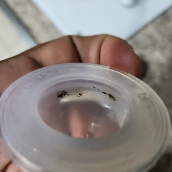 Biberonlarda Güvenlik Sorunu: Bebeklerimizin Sağlığı Tehlikede!