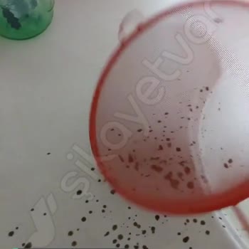 Tivoli (Tivolim.com) Süzgeç Paslandı