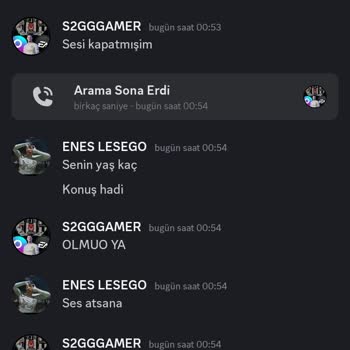 Discord'da Hakaret Ve Saygısızlık Sorunu