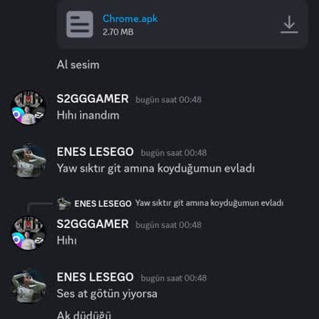 Discord'da Hakaret Ve Saygısızlık Sorunu