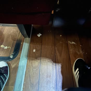 Süha Turizm İle Hayal Kırıklığı: Kalitesiz Hizmet Ve Konforsuz Yolculuk