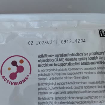 Köpek Mamasında Kurtlar: Sağlık Riski Ve İhmal