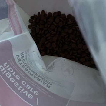 Köpek Mamasında Kurtlar: Sağlık Riski Ve İhmal