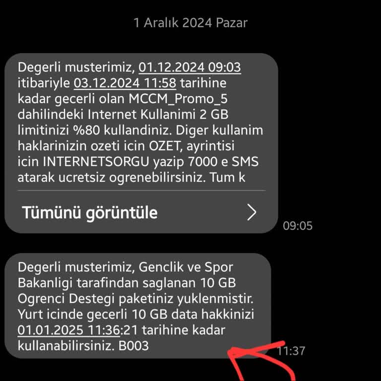 Devlet İnternet Desteği Yüklenmedi: Acil Çözüm Bekliyorum