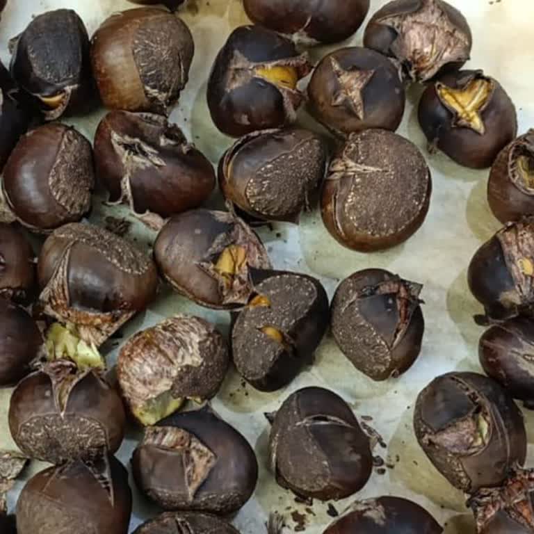 Kestane Zehirlenmesi: Misaş Şubesinin Sorumluluk Reddi