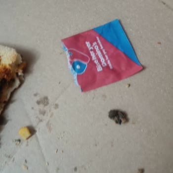 Domino's Pizza'da Çekirdekli Zeytin Şoku