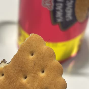 Xroll Kakaolu Kremalı Sandviç Bisküviden kıl çıktı