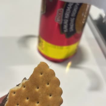 Xroll Kakaolu Kremalı Sandviç Bisküviden kıl çıktı