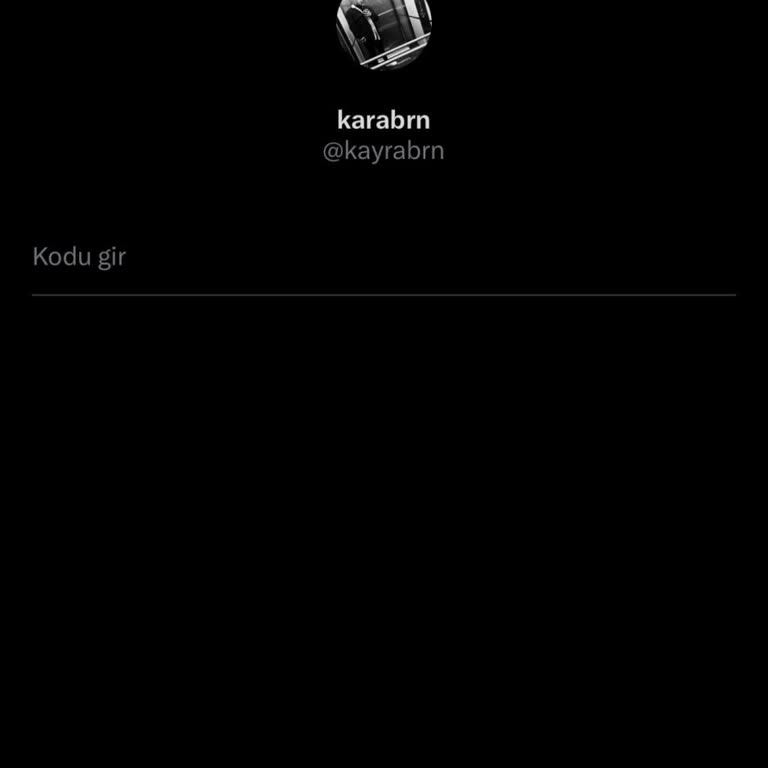 Hesap Giriş Sorunu: Yedek Kod Gereksinimi