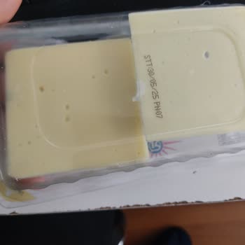 Tost Peynirinde Beklenmedik Küf Sorunu