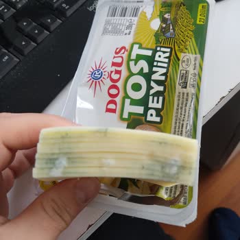 Tost Peynirinde Beklenmedik Küf Sorunu