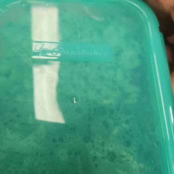 Paşabahçe Ürün Kalitesi Ve Tedarikçi Sorunu