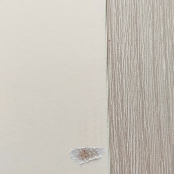 Defolu Ürün Ve İlgisiz Mağaza Müdürü